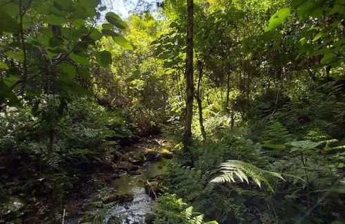 Caa Yari Other | Jasy cabaña del Monte