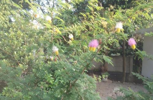 Rumassala Apartment | Jb Villa