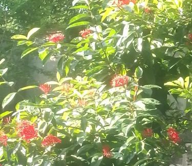 Rumassala Apartment | Jb Villa