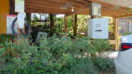Lugu House | Jia's Homestay