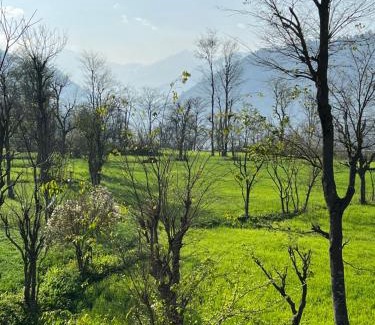 Chamba Resort | Jimmys River Resort