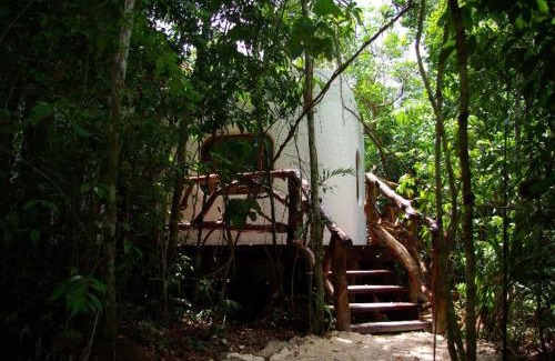 Leona Vicario Hotel | Jolie Jungle Eco Hotel
