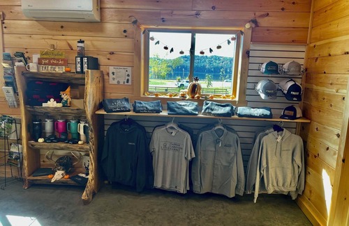 Scio Cabin | Joshua Tree/Unique Lakeview 4 Person A-Frame Cabin