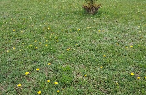 San Rafael Apartment | Juan Ramón andreis