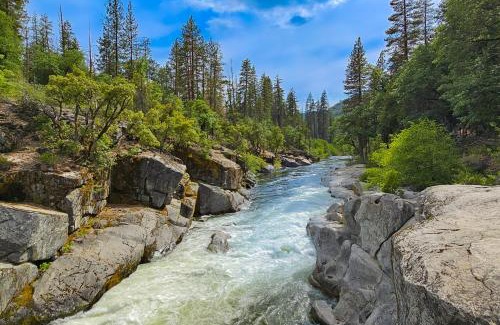 Dorrington House | Jug Handle Hideaway