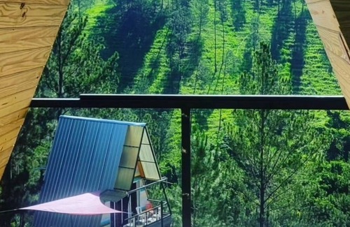 San Jose de las Matas Cabin | Junglavida