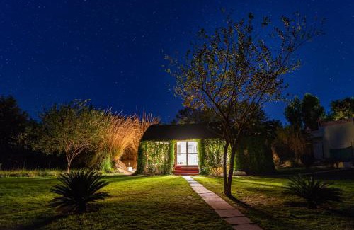 Sawai Madhopur Other | Jungle Cave Resort