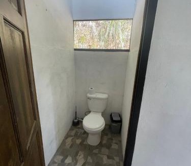 Golfito House | Jungle Container Escape