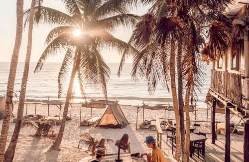 Playa Paraiso Apartment | Jungle Guardian - Rooftop Pool & Beach Club in Zona Hotelera Tulum