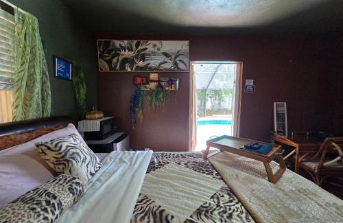 Temple Terrace Apartment | Jungle Oasis By Busch Gardens USF and Amphitheater