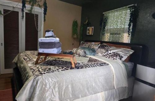 Temple Terrace Apartment | Jungle Oasis By Busch Gardens USF and Amphitheater