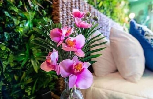 Trenton House | Jungle Room #7 - 1960 Retro Motel