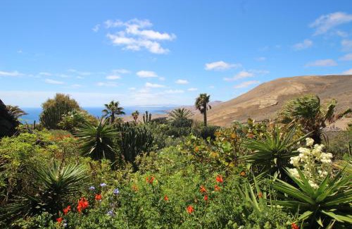 La Asomada Apartment | JURTE - Traumhafter Meerblick, beheizter Pool, Sauna, Billiard, Tischtennis, Garten