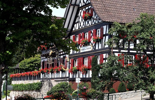 Waldulm Apartment | Käferwald Zimmer Komfort