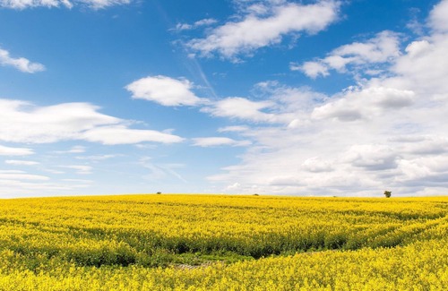 Gremmerup Apartment | Küstenglück, Deutschland