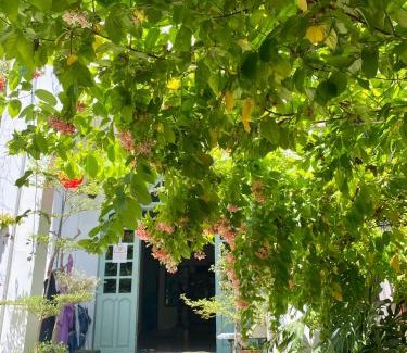 Hue House | ký ức tươi đẹp homestay