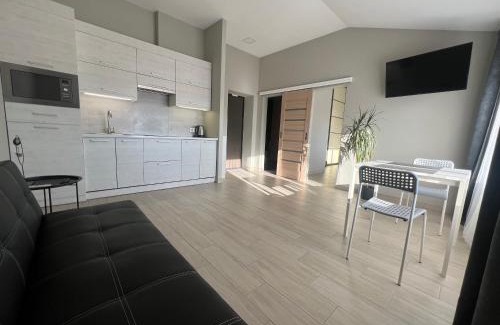 Krykhivtsi Apartment | Kalinova Sloboda Apartment