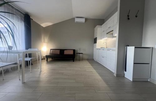 Krykhivtsi Apartment | Kalinova Sloboda Apartment