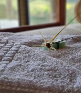 Alto Paraiso de Goias Hotel | Kalu Oká