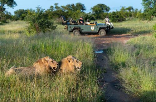 Thorny Bush Game Reserve Cabin | Kambaku Safari Lodge