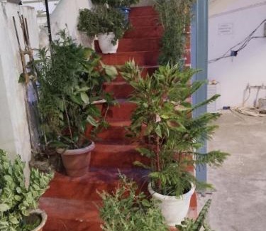 Ayodhya House | Kanak Bihari Yatri Niwas, 100 Meter Ram Ki Paidi, Saryu River