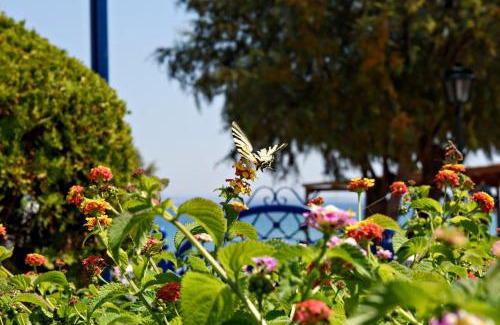 Karfas Apartment | Karfas Bay View