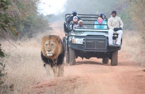 Maruleng Cabin | Karongwe - Becks Safari Lodge