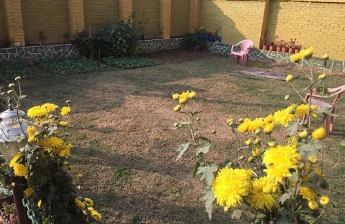 Srinagar House | Kashmir vibes