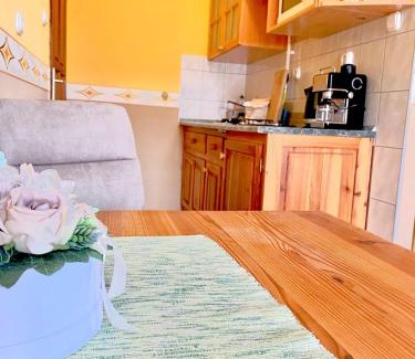 Zalakaros Apartment | KATALIN APP. ZALAGYÖNGYE