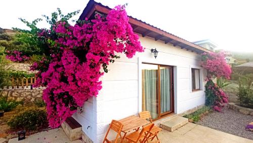 Karaburun Apartment | Kavurlukoz Butik Apart