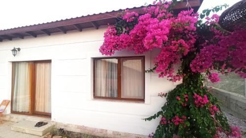 Karaburun Apartment | Kavurlukoz Butik Apart