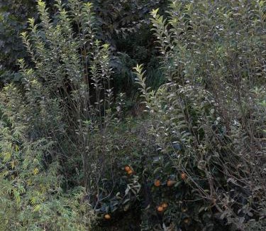 Banjar House | Kefi bakehouse and Stays