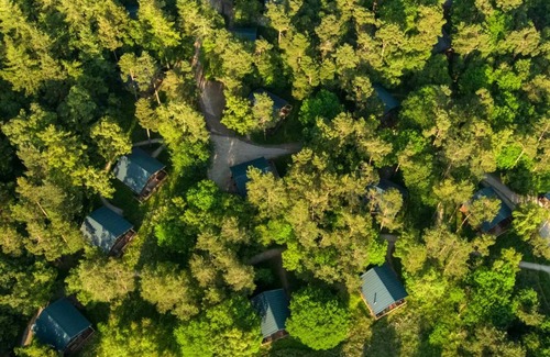 Pickering Resort | Keldy Forest Cabins - Forest Holidays