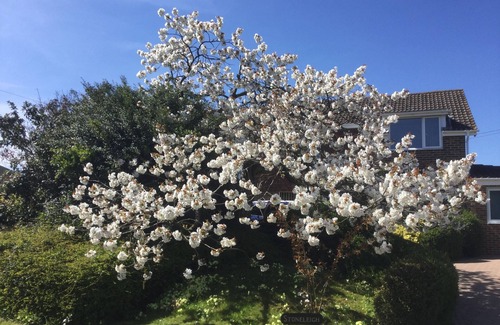 Mersham Apartment | Kent village setting, close to rail and road connections for Europe and London