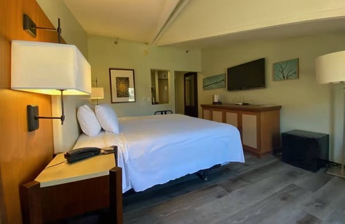 Mount Charleston Hotel | King Room at The Retreat on Charleston Peak – All-Season Mountain Escape