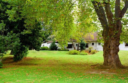 Hogsback Hotel | Kings Lodge Hotel