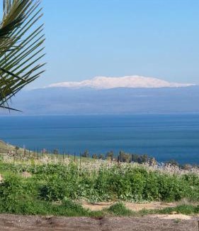 Kinneret Cabin | Kinneret View
