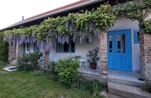 Parad House | Kisbagoly Vendégház