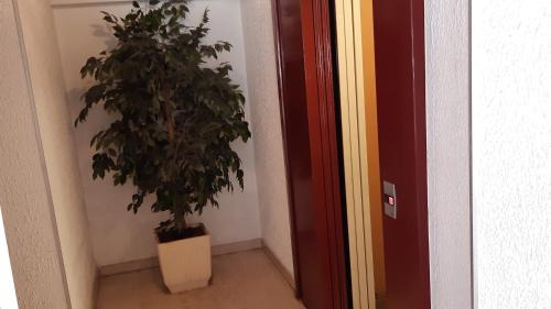 Colmar Apartment | Klipfel Little Venice