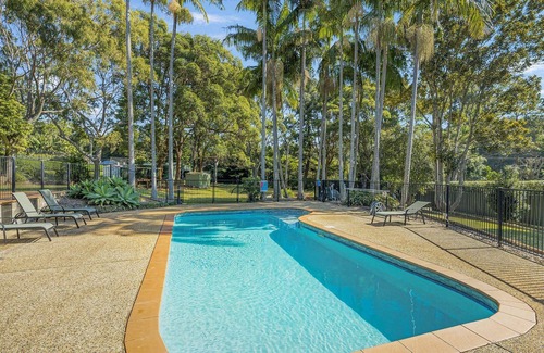 Port Macquarie House | Koalas at Links Lighthouse Beach