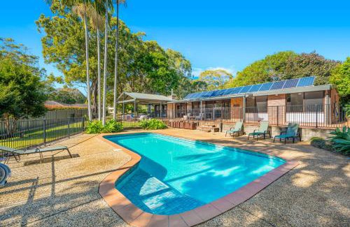 Port Macquarie House | Koalas at Links Lighthouse Beach