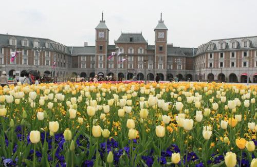 Kita Ward Hotel | Kobe Hotel Fruit Flower