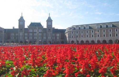 Kita Ward Hotel | Kobe Hotel Fruit Flower