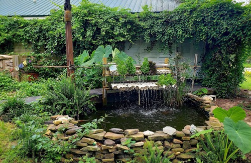 Live Oak Cabin | Kokomo Farms - Cozy Cottage on the Farm