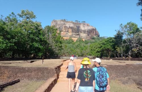 Dambulla House | Kon Tree Shade