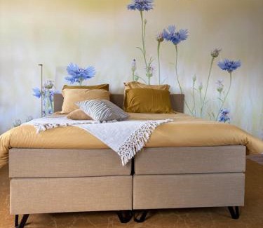Noordbroek Bed & Breakfast | KorenGastvrij