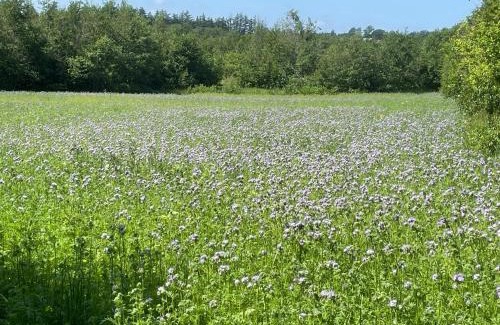 Sindal Apartment | Korsholt-natur 135 G