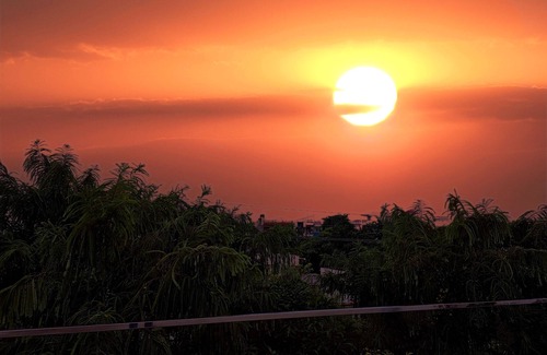 Mohangarh Apartment | Kriti : Tranquil Modern Oasis