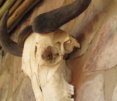 Leeupoort House | Kukama's Rest at Zebula 317