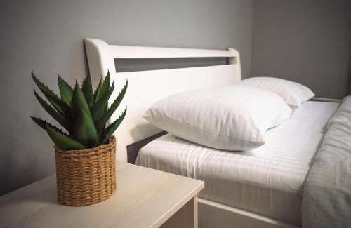 Pechers'kyi District Apartment | Kyiv Lesi 3 Studio Apartment